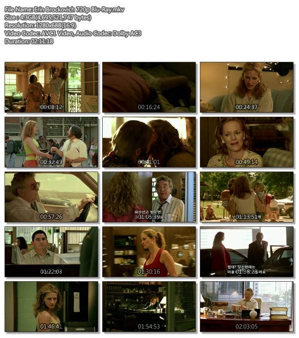 erin brockovich 720p