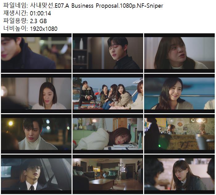 E A Business Proposal P Nf Sniper