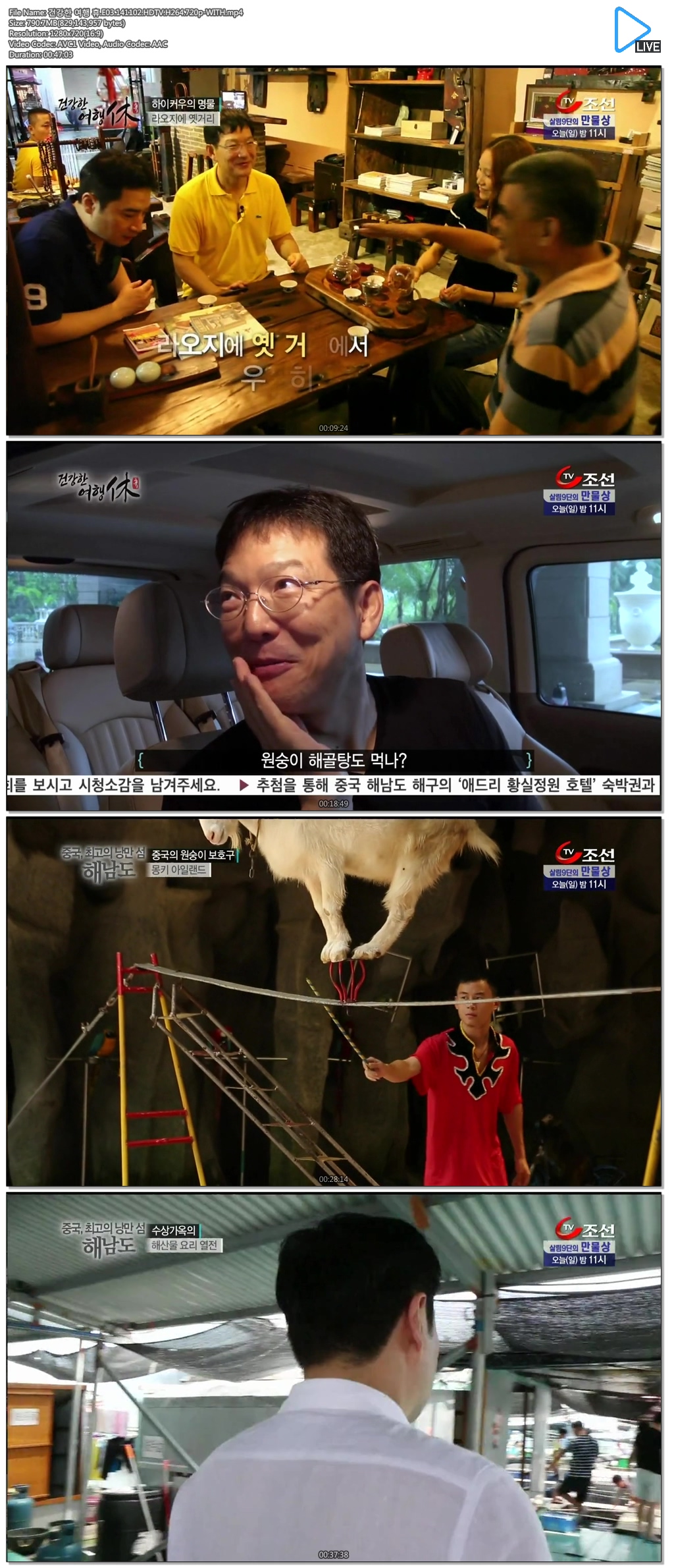 건강한 여행 휴.E03.141102.tvstory