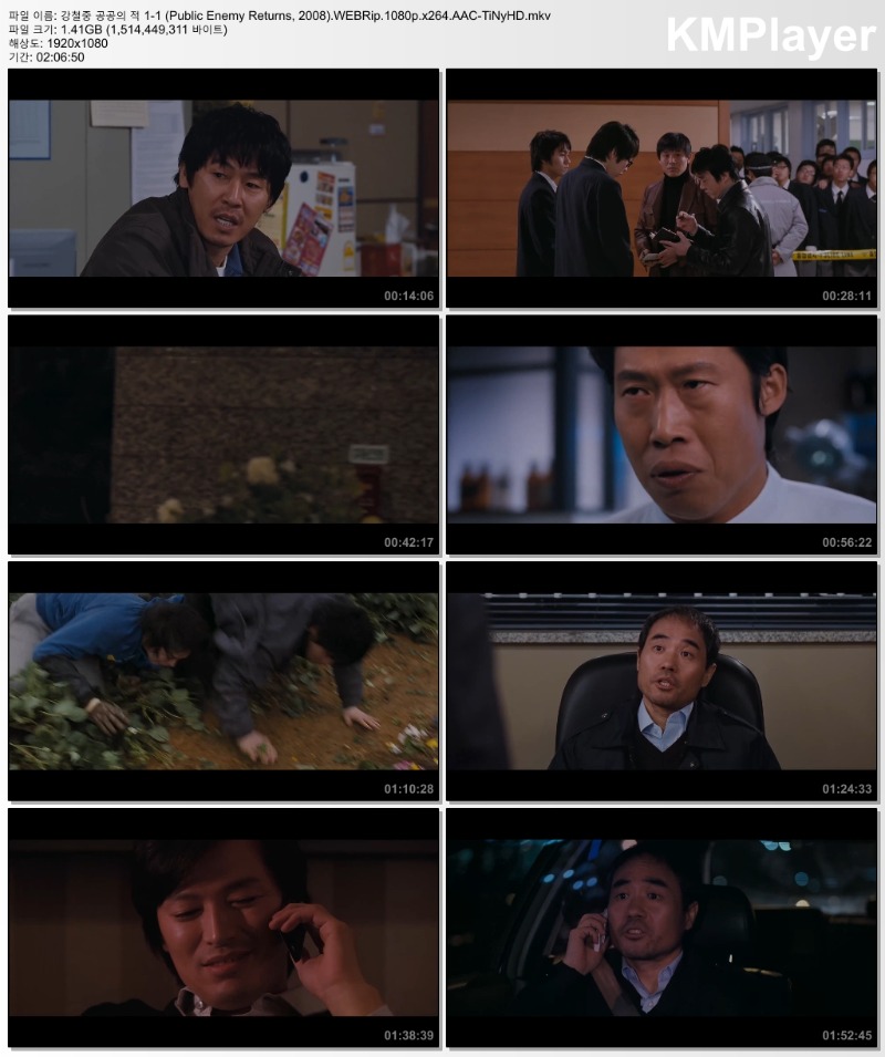 1-1-2008-hd1080p-public-enemy-returns-tinyhd