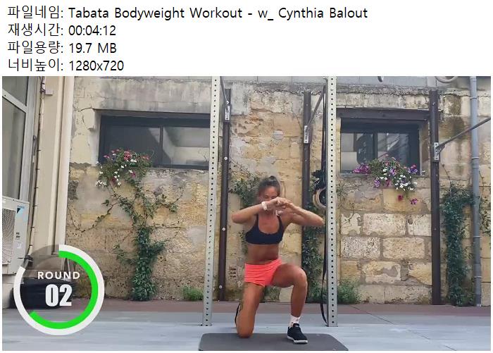 Tabata Bodyweight Workout - W Cynthia Balout